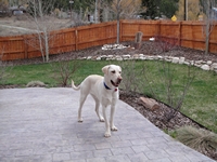 01_050109_winston