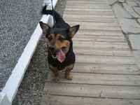 01_062509_lolo
