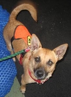 01_081009_nacho