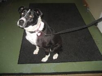 02_011910_pinky