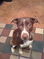02_021210_carly