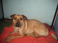 02_021710_avery