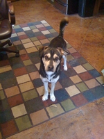 02_052110_jake