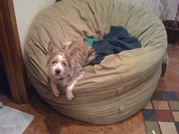 02_122110_tramp