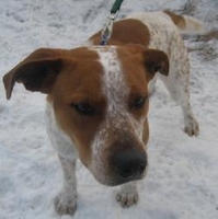 03_020111_rusty