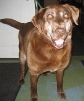 03_031111_grace