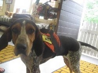 03_070411_aspen