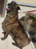 03_071311_Niro