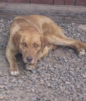 03_082111_benny