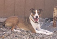 03_082411_marley