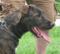 03_082611_linus