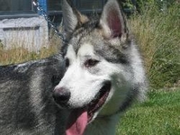 03_090811_tucker
