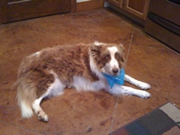 03_101911_bandit