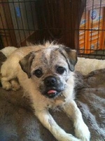 03_101911_sparky