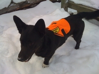 04_011412_tank