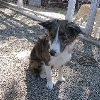 04_062012_lola