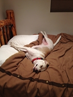 04_072412_hank