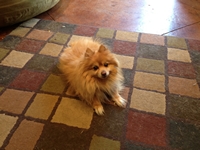 04_072912_frankie