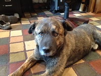 04_091312_brody