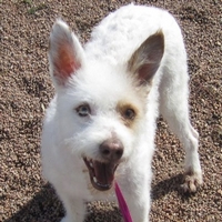 04_091412_gracie