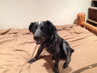 04_100112_calvinb