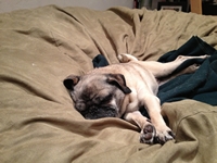 05_020113_peggy