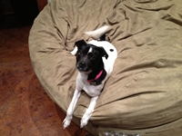 05_021613_twiggy