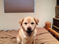 05_022013_rosco