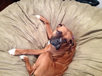 05_022813_tia