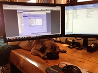 05_030513_percy