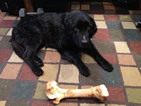 05_032913_malcolm