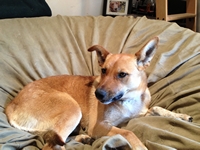 05_062213_kanga