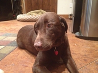 05_062713_murphy
