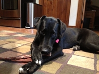 05_081513_penny