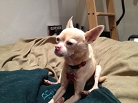 05_091413_alfalfa