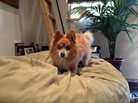 05_091513_lucky