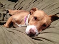 05_101213_Bella