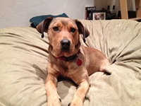 05_110313_honey