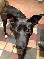 06_010514_winnie