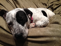 06_022314_phyllis