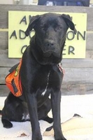 06_031214_bailey