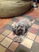 06_033114_marley