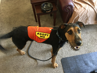 12_082020_koda